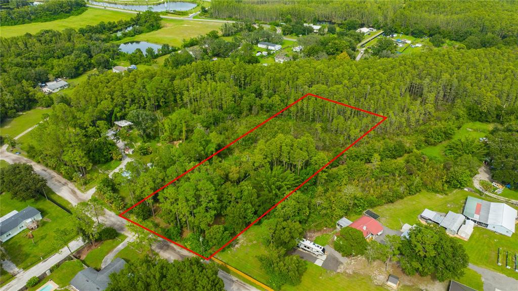 An aerial view shows a rectangular plot of land outlined in red amidst wooded surroundings — 7408 TOM DRIVE, LAND O LAKES, FL