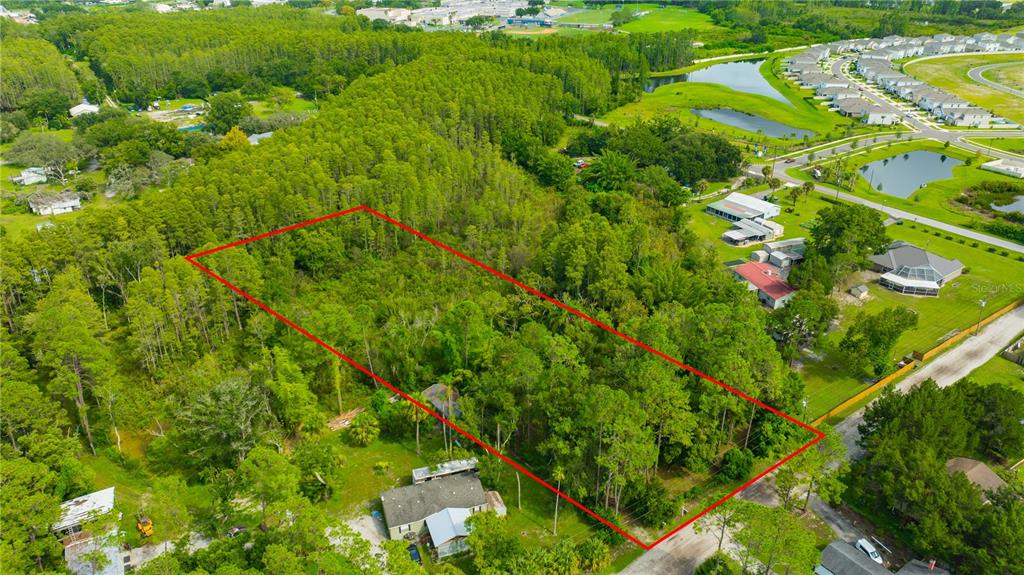 An aerial view shows a rectangular plot of land outlined in red amidst wooded surroundings — 7408 TOM DRIVE, LAND O LAKES, FL