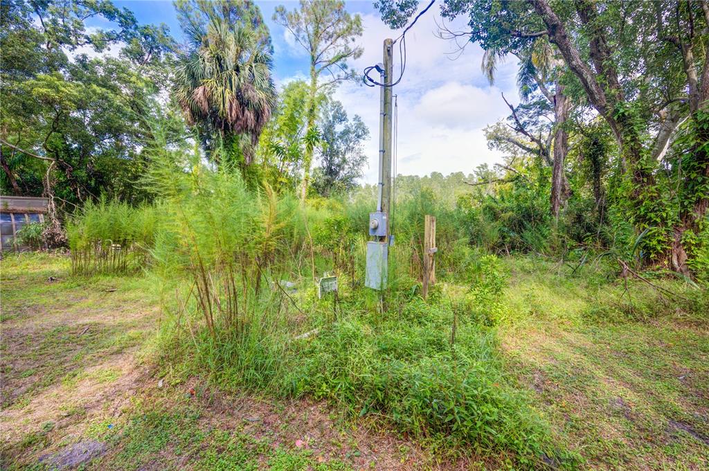 An outdoor utility pole with an electrical meter stands in a grassy, wooded lot — 7408 TOM DRIVE, LAND O LAKES, FL