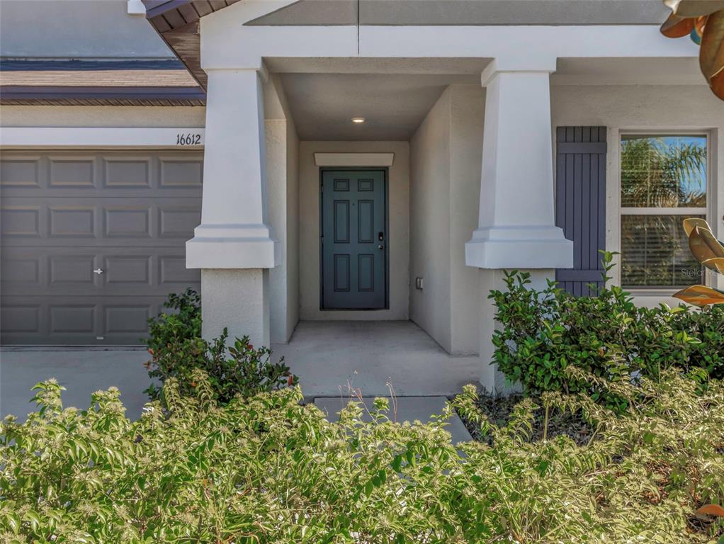 A front exterior view showing a garage, a covered entryway with a dark door, and landscaping — 16612 CARLTON POND STREET, WIMAUMA, FL