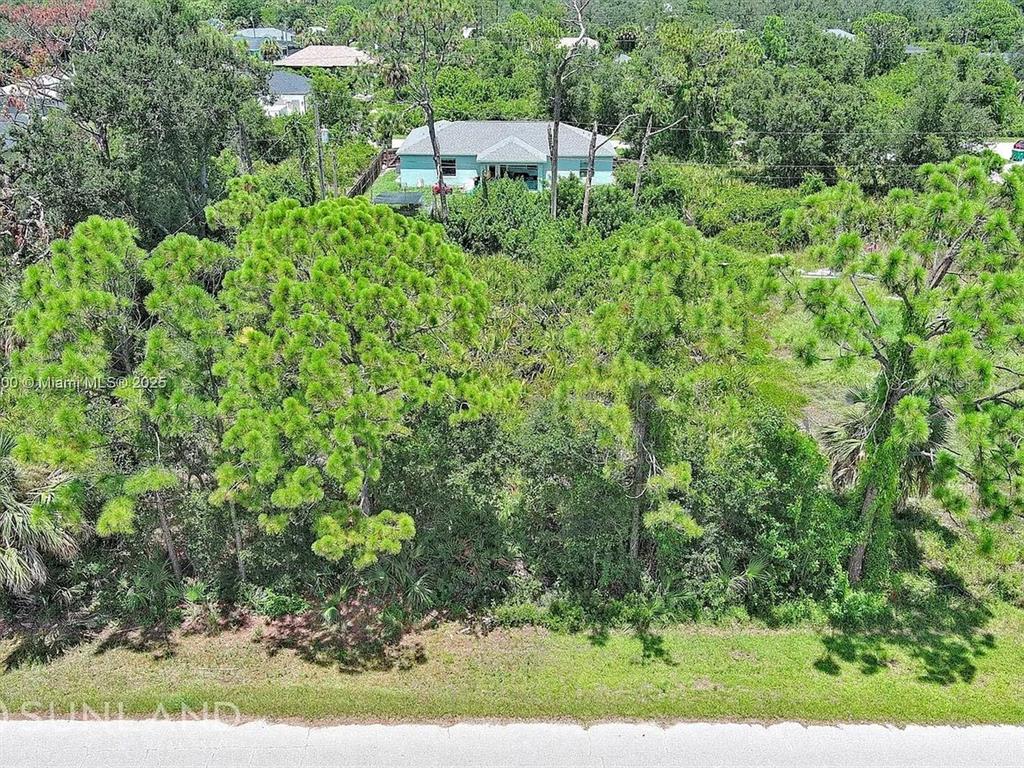 An aerial view shows a wooded lot with a light blue house in the background — 11944 BROOKSIDE AVENUE, PORT CHARLOTTE, FL