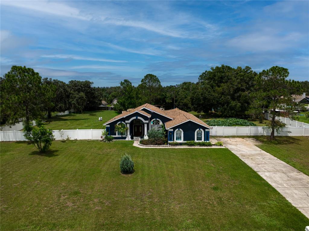 An aerial view of a dark blue single-story house with a tan roof and driveway — 31439 STIRRUP LANE, WESLEY CHAPEL, FL