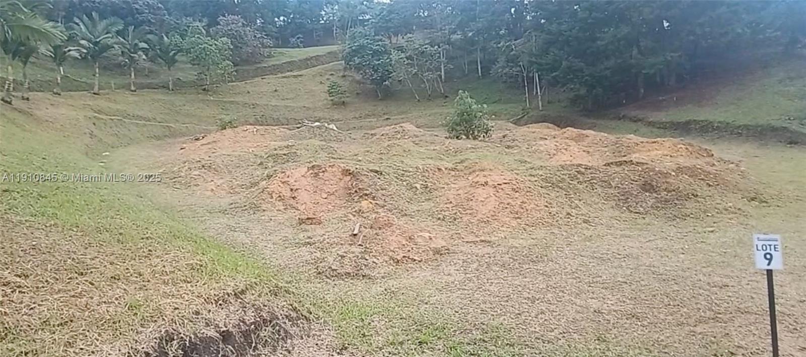 A grassy, sloped plot of land marked as Lote 9 with piles of dirt — Vereda Mampuesto Sector Garrido #9, C, C
