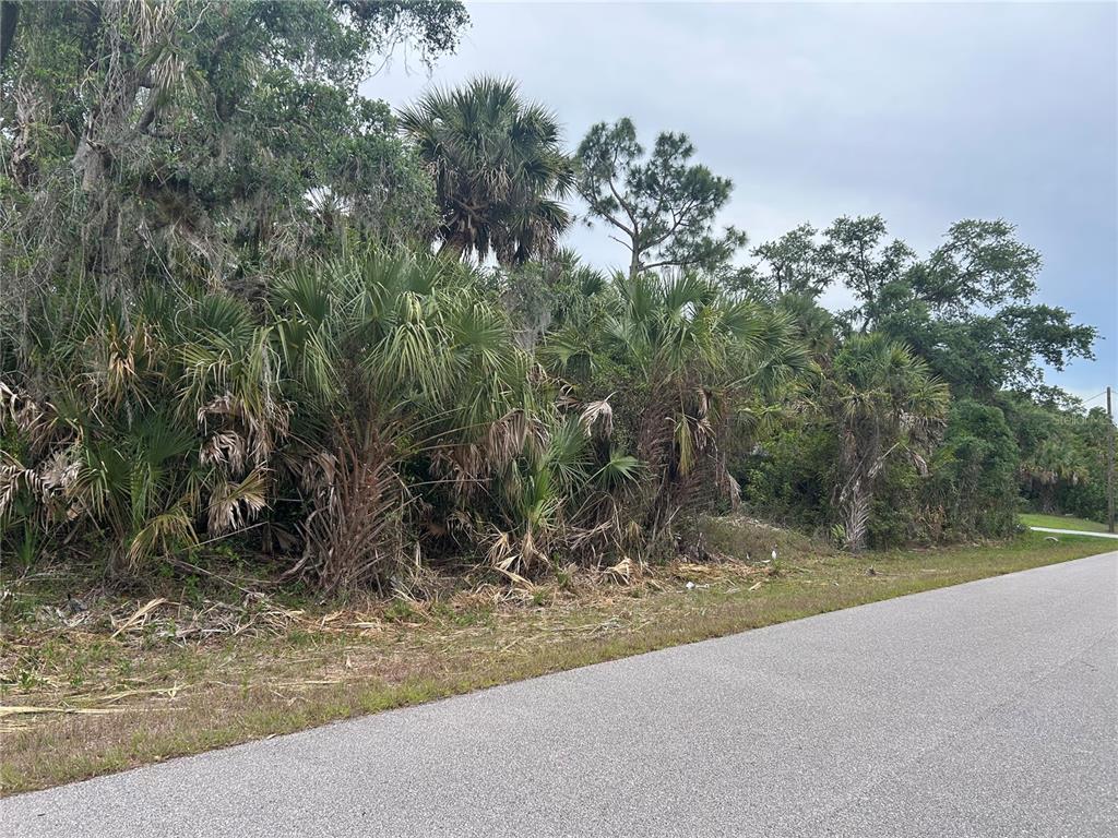 A paved road runs alongside a dense, wooded lot filled with palm trees and vegetation — BASKET STREET, NORTH PORT, FL