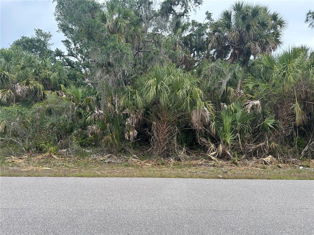 A paved road runs in front of a dense, wooded lot filled with palm trees — BASKET STREET, NORTH PORT, FL