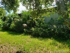 A dense thicket of trees and palm fronds partially obscures the side of a building — 618 INGHAM ROAD, NEW SMYRNA BEACH, FL