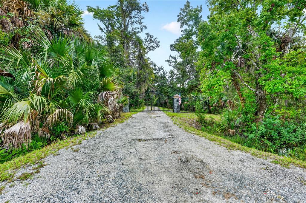 A gravel driveway leads to a gated entrance surrounded by dense trees and lush vegetation — 590 COUNTY ROAD 325, BUNNELL, FL