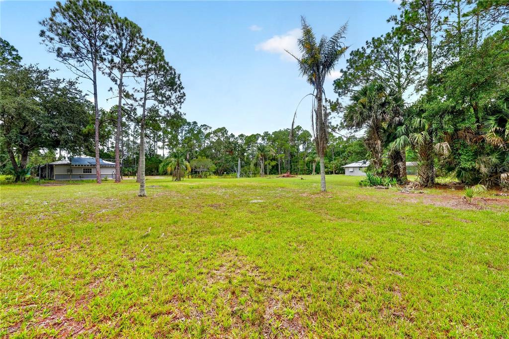 A large, grassy backyard features several tall trees, palm trees, and two small residential buildings — 590 COUNTY ROAD 325, BUNNELL, FL