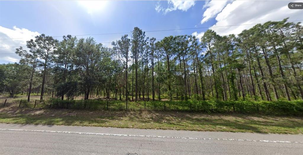 A view of a wooded, undeveloped lot bordered by a fence and a paved road — CR-33, GROVELAND, FL