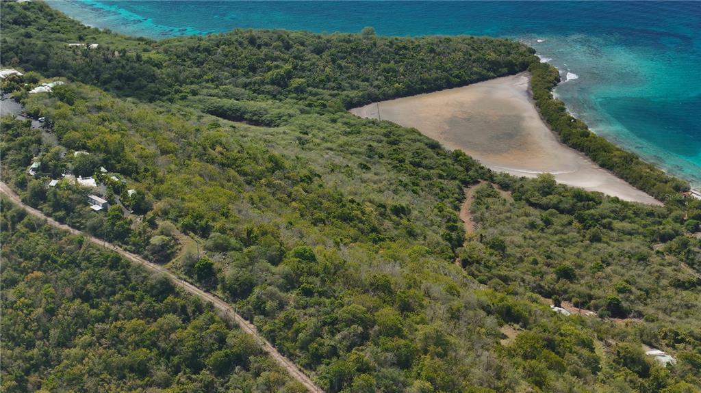 An aerial view shows a coastal landscape with dense vegetation, a dirt road, and a lagoon — 3a BARRIO FLAMENCO TAMARINDO BEACH, CULEBRA, PR