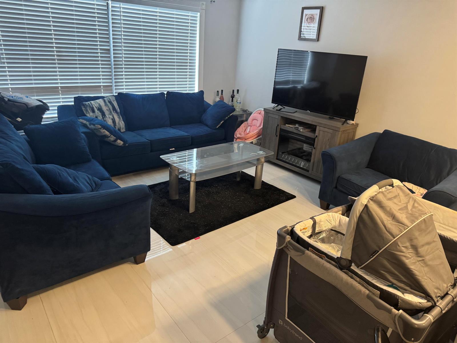 A living room features blue sofas, a glass coffee table, and a television on a stand — 1234 White Pine Drive, Wellington FL 33414, WELLINGTON, FL
