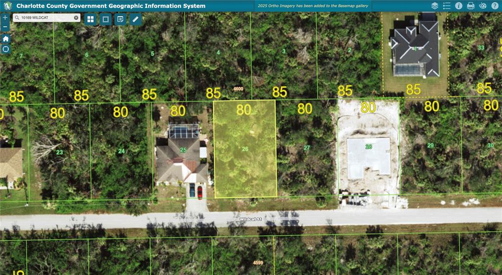 This is a map showing a vacant residential lot highlighted among neighboring properties — 10169 WILDCAT STREET, PORT CHARLOTTE, FL