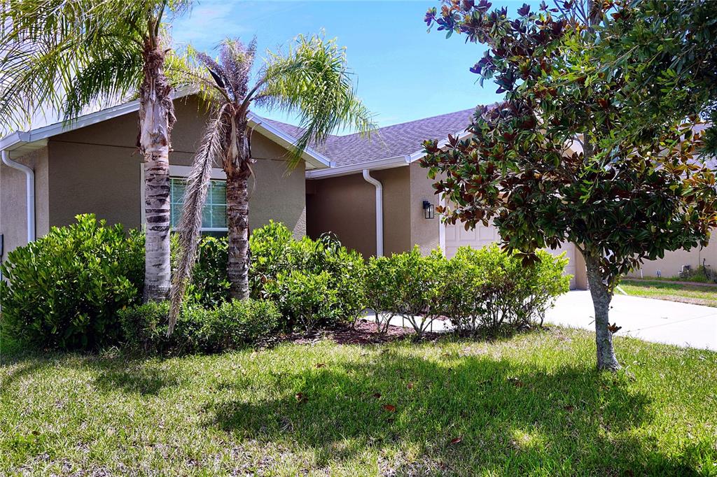 A one-story house with a palm tree, landscaping, and a driveway under a blue sky — 10118 PENWOOD WAY, HUDSON, FL