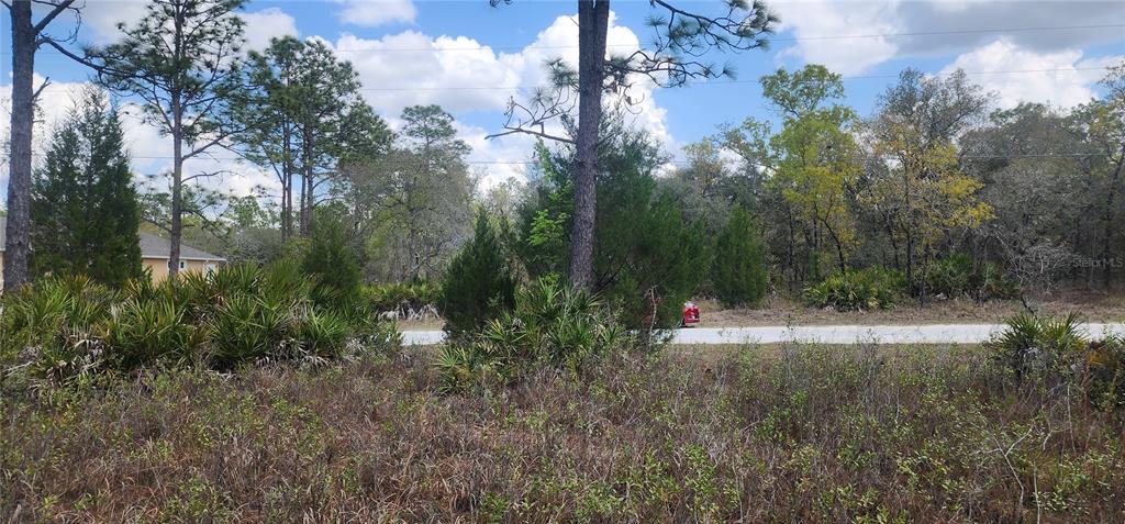A view of a vacant, wooded lot with a paved road in the background — 18119 PARROT ROAD, WEEKI WACHEE, FL