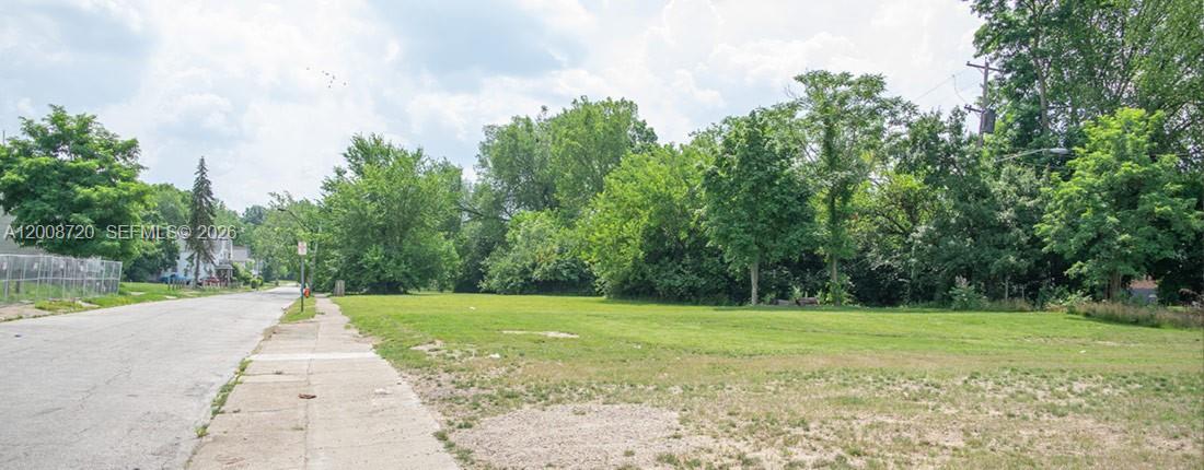 A vacant, grassy lot sits beside a paved street and sidewalk under a cloudy sky — 0, 00000, FL