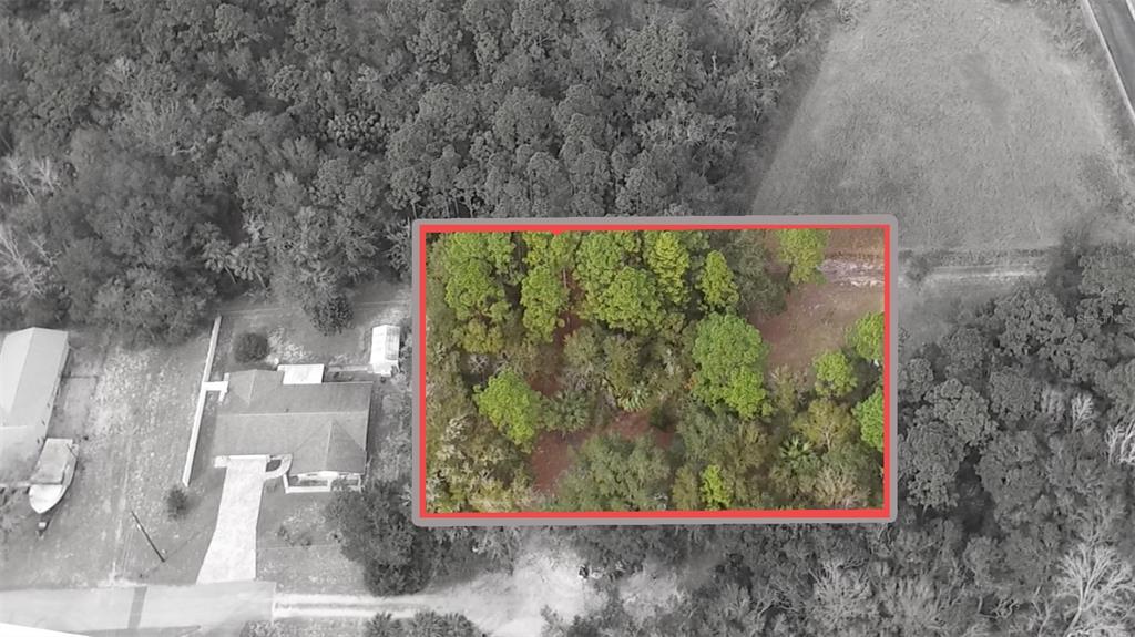 An aerial view shows a rectangular plot of wooded land outlined in red next to a house — 725 NE 13TH TERRACE, CRYSTAL RIVER, FL