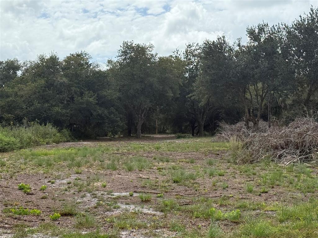 15134 NW 306TH STREET, OKEECHOBEE, FL — photo 4 of 20
