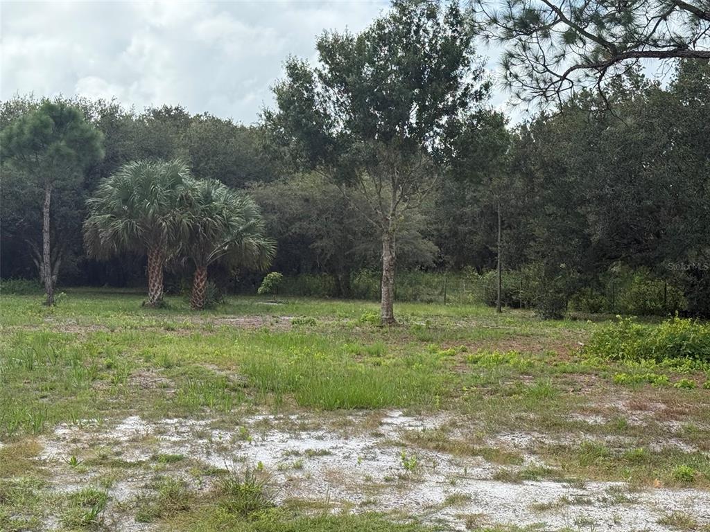 15134 NW 306TH STREET, OKEECHOBEE, FL — photo 5 of 20