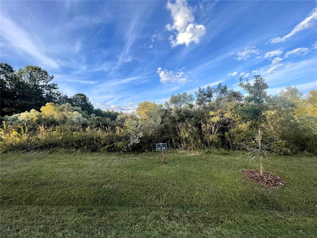 A grassy lot marked with a sign labeled Lot 24 sits before a dense treeline — TBD NW 152ND COURT, NEWBERRY, FL