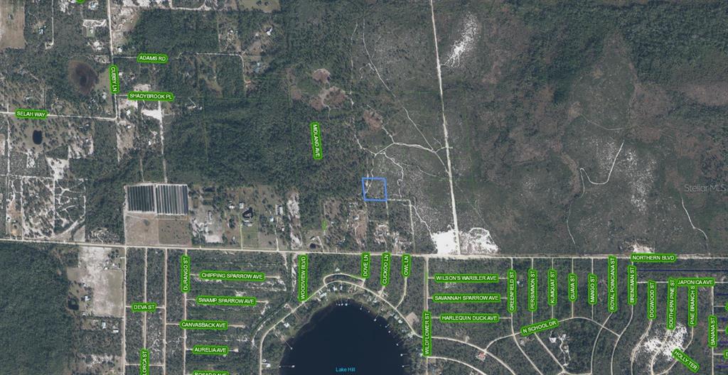 This is an aerial map showing a highlighted parcel of land surrounded by wooded areas — 918 MIDLAND AVENUE, LAKE PLACID, FL
