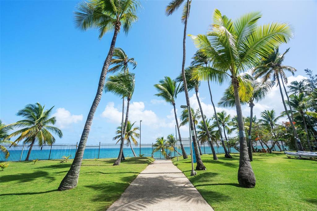 A concrete path leads through a grassy lawn with palm trees toward a coastal fence — 2305 LAUREL UNIT 614, SAN JUAN, PR