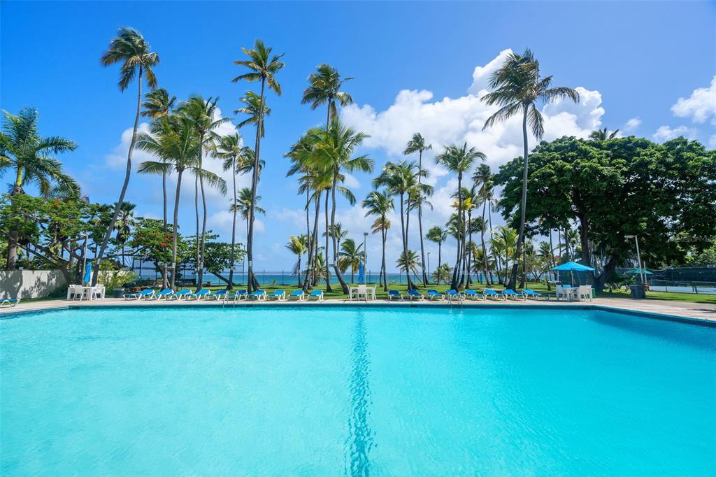 A large outdoor swimming pool sits in front of a row of palm trees — 2305 LAUREL UNIT 614, SAN JUAN, PR