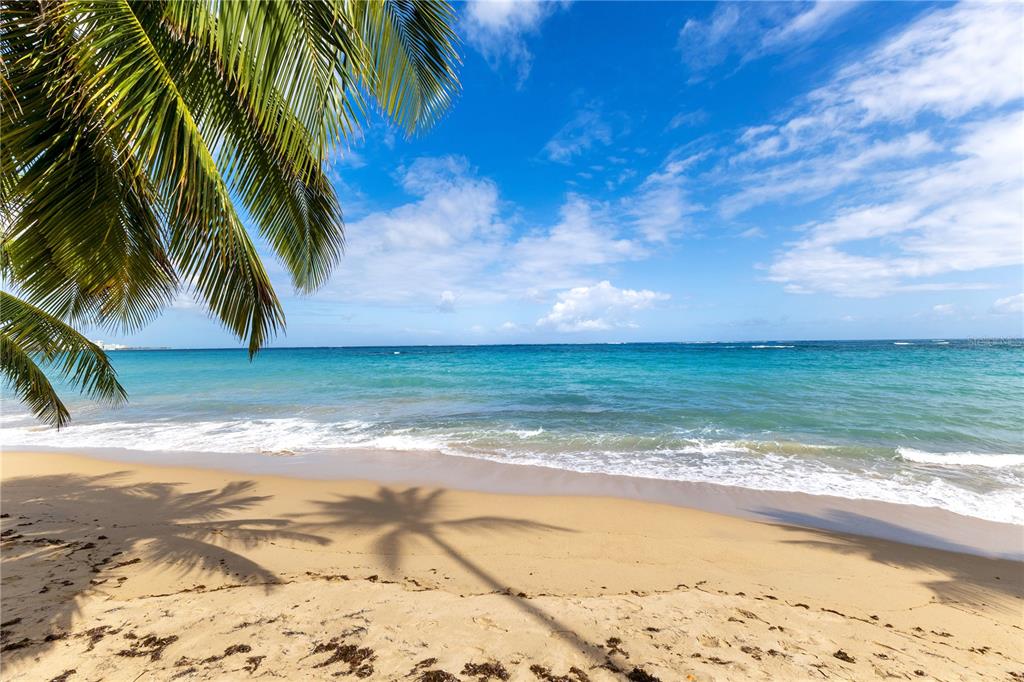 A sandy beach with palm tree fronds in the foreground overlooking the ocean — 2305 LAUREL UNIT 614, SAN JUAN, PR