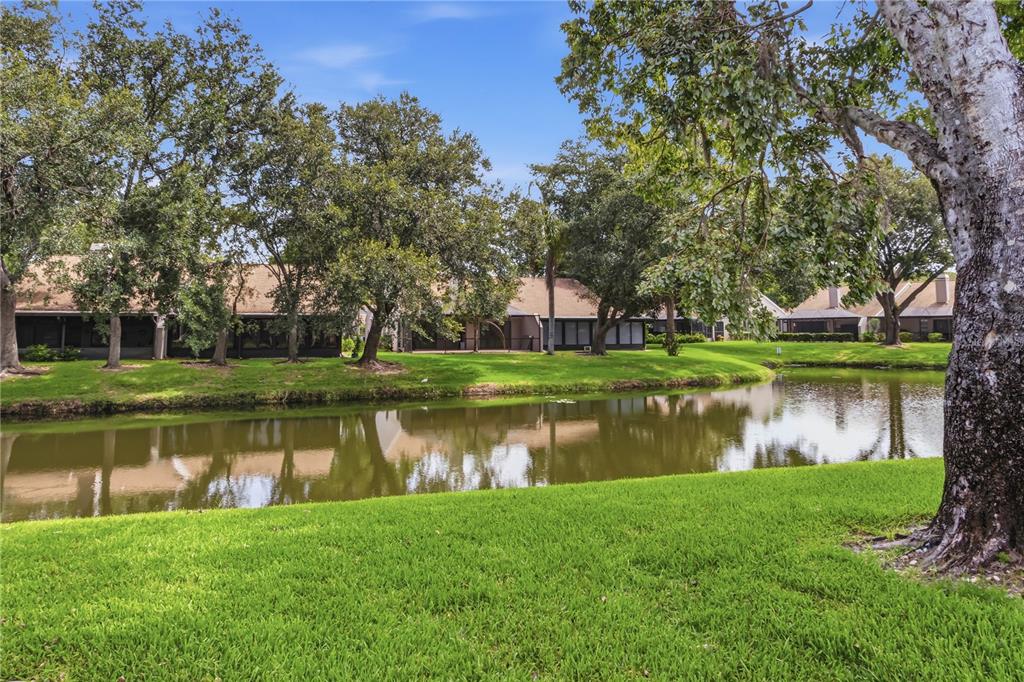 A pond sits in front of several single-story residential buildings surrounded by mature trees — 5515 SALEM SQUARE DRIVE S, PALM HARBOR, FL
