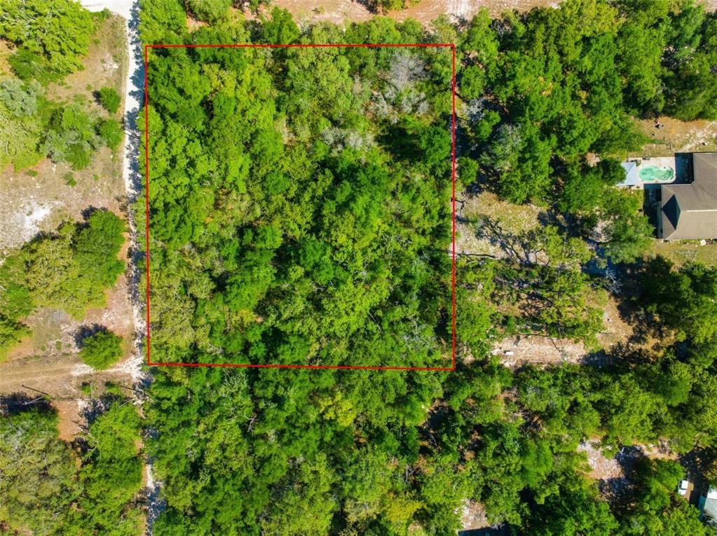 An aerial view shows a rectangular plot of land densely covered with trees and vegetation — 0 COYOTE ROAD, HUDSON, FL