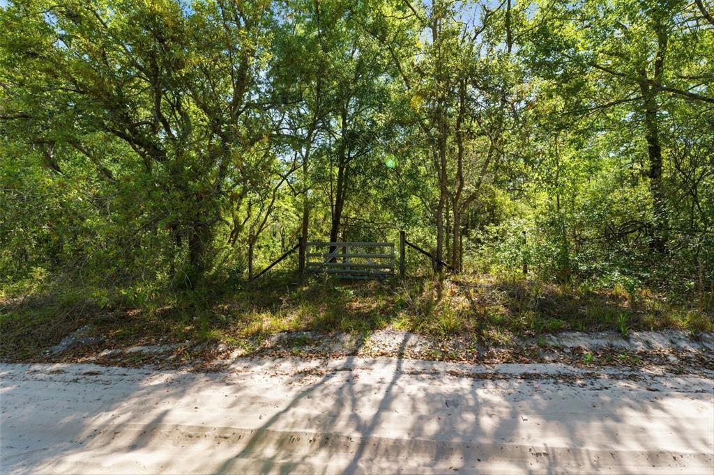 A metal gate stands at the edge of a wooded lot along a sandy road — 0 COYOTE ROAD, HUDSON, FL