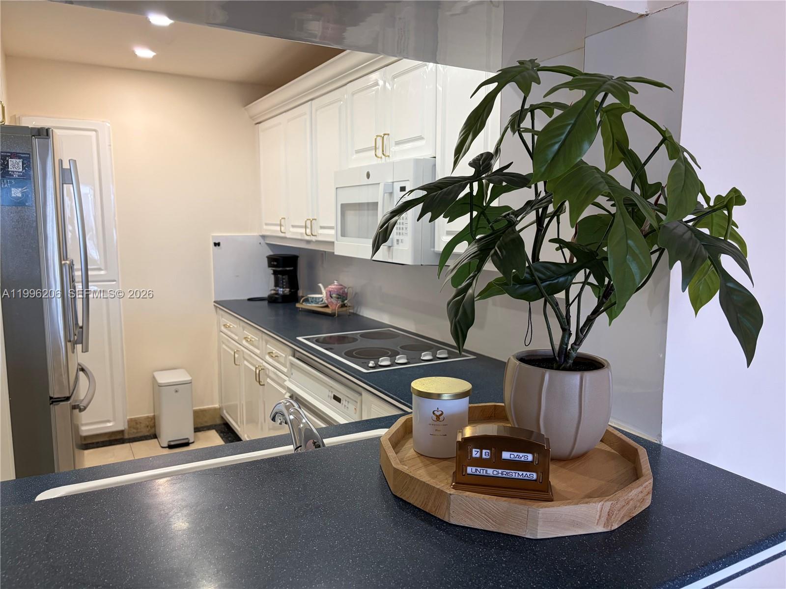 A kitchen features white cabinetry, dark countertops, stainless steel appliances, and a decorative plant centerpiece — 1717 N Bayshore Dr # 2254, Miami FL 33132, MIAMI, FL