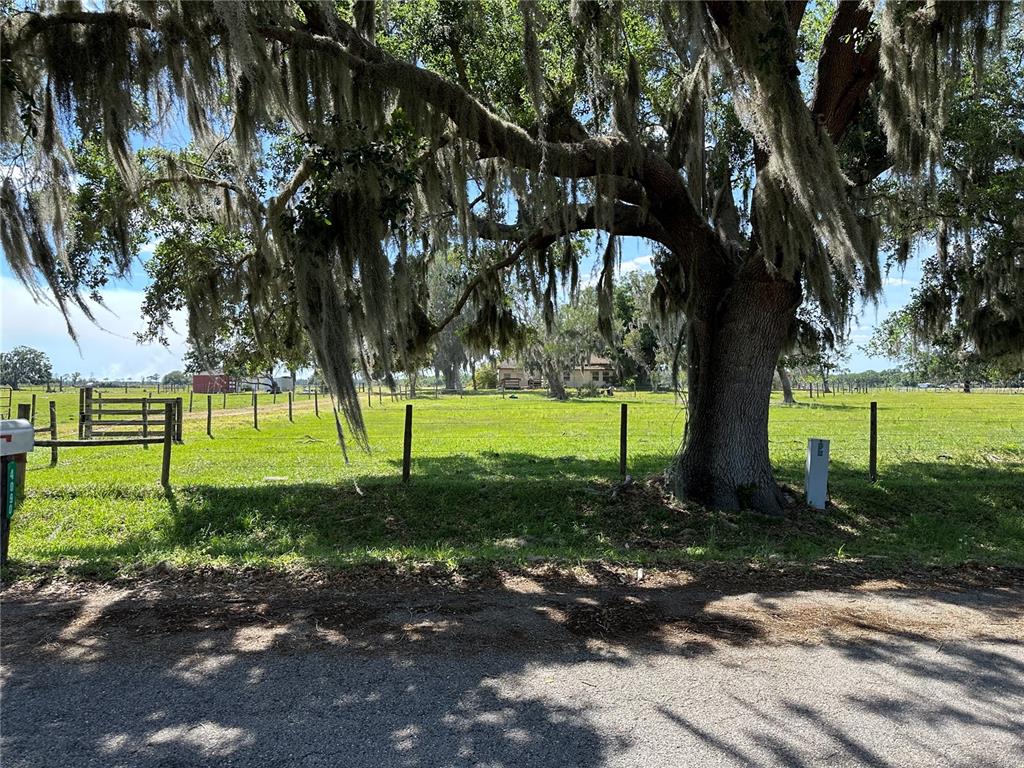 A large oak tree with Spanish moss stands in a fenced grassy pasture — 4090 CARLTON ROAD, SARASOTA, FL