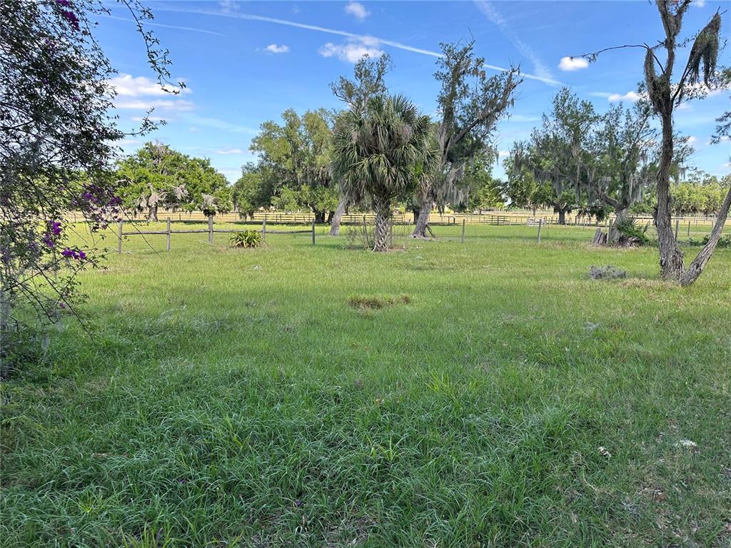 A grassy field features a wooden fence, scattered trees, and a palm tree under blue skies — 4090 CARLTON ROAD, SARASOTA, FL