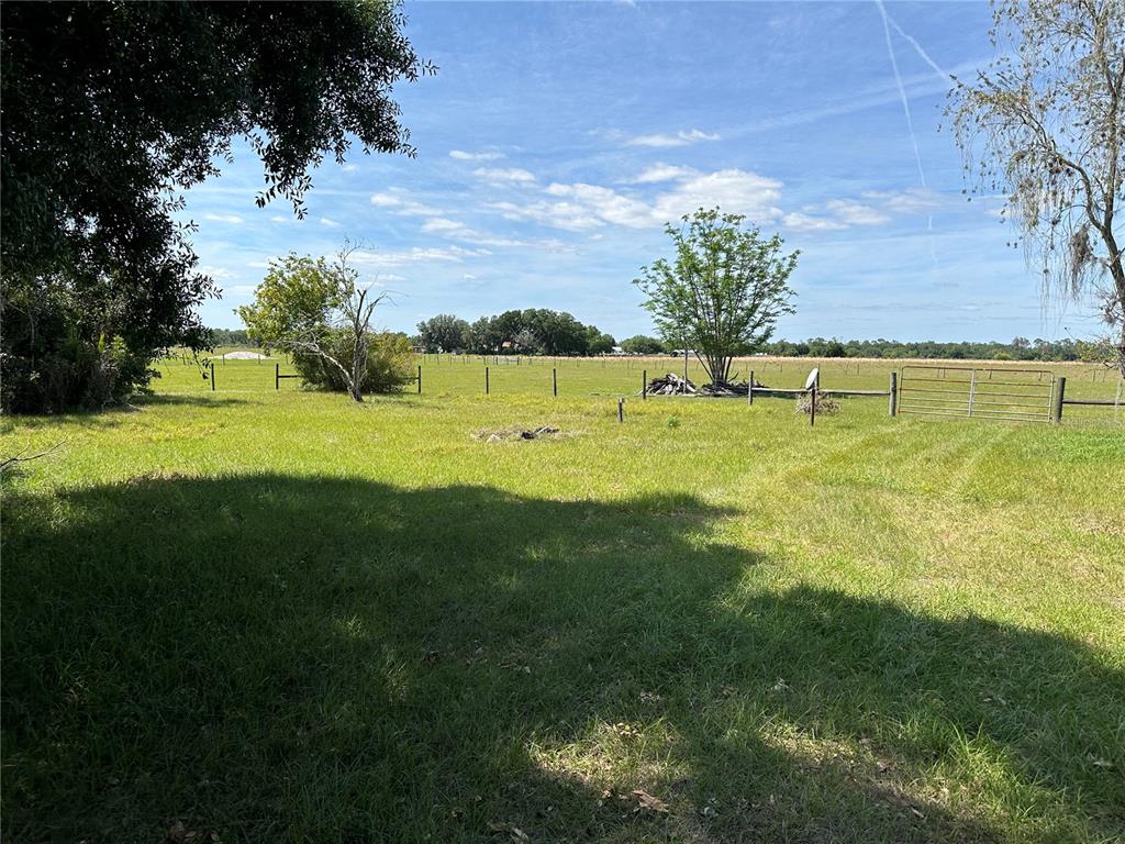A grassy, fenced pasture features scattered trees under a blue sky with light clouds — 4090 CARLTON ROAD, SARASOTA, FL