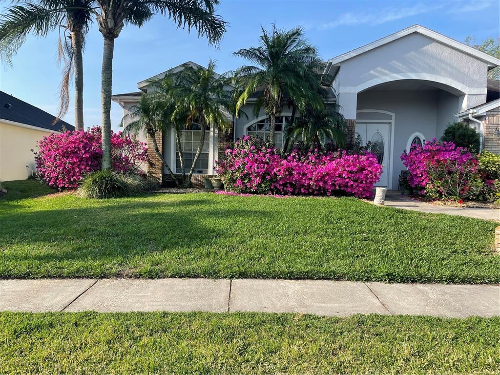 A single-story house with a gray exterior, palm trees, and blooming pink azalea bushes — 639 LAKEHAVEN CIRCLE, ORLANDO, FL