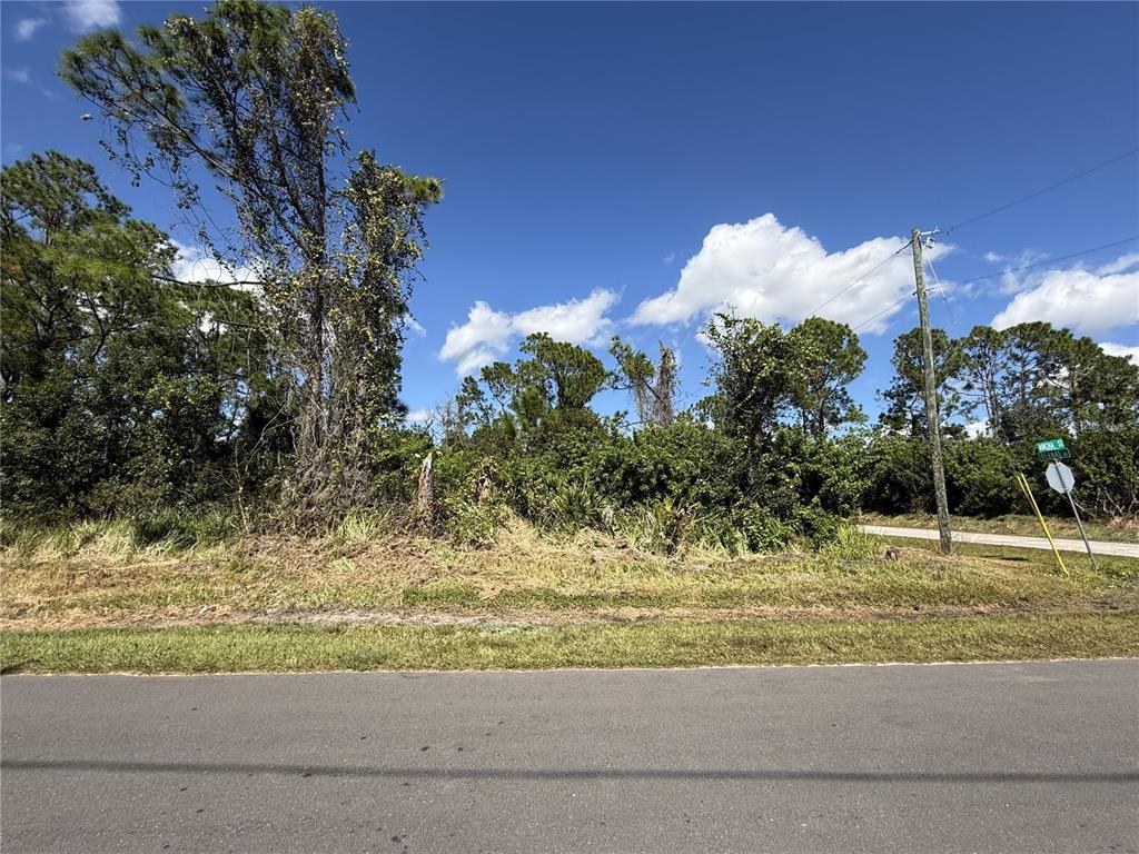 A vacant, wooded lot sits along a paved road with a utility pole and street sign — 7538 BERNAL DRIVE, SEBRING, FL