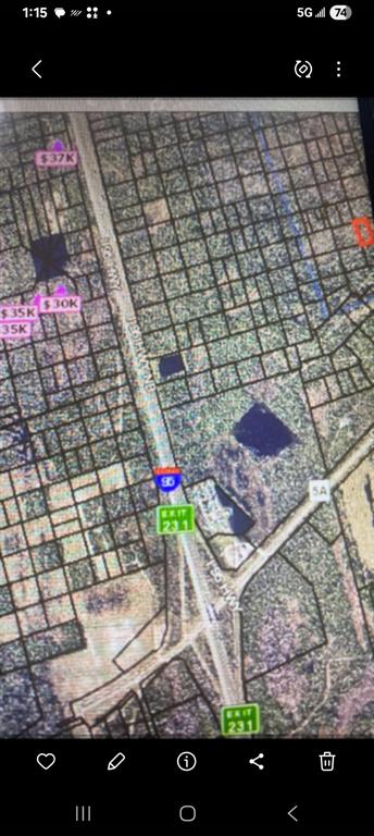 SHORT PARCEL 2003055, MIMS, FL — photo 4 of 7