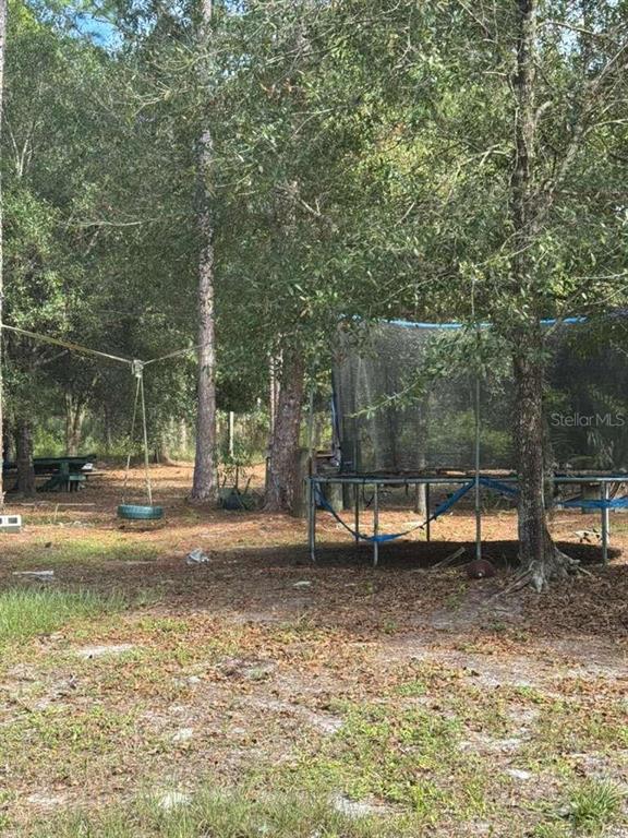 A backyard features a trampoline and a tire swing hanging from a tree — 415 N VERDA STREET, CLEWISTON, FL