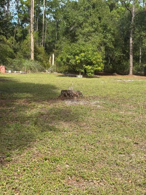 A grassy backyard features a tree stump in the foreground and a small tree behind — 415 N VERDA STREET, CLEWISTON, FL