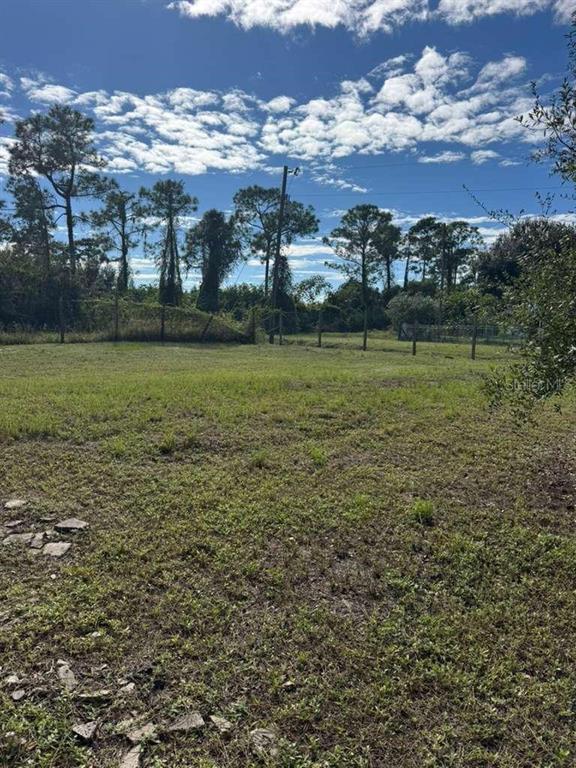 A grassy, vacant lot features scattered rocks in the foreground and a line of trees — 415 N VERDA STREET, CLEWISTON, FL