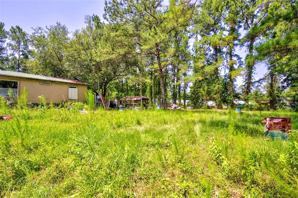 An overgrown grassy yard sits in front of a small house and wooded area — 7320 NE 137TH PLACE, CITRA, FL