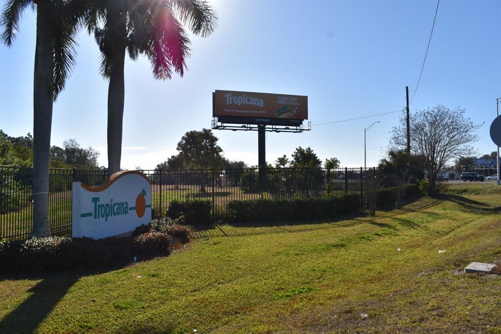 A Tropicana sign and billboard stand near a fenced lot with palm trees — 2115 9TH STREET E, BRADENTON, FL