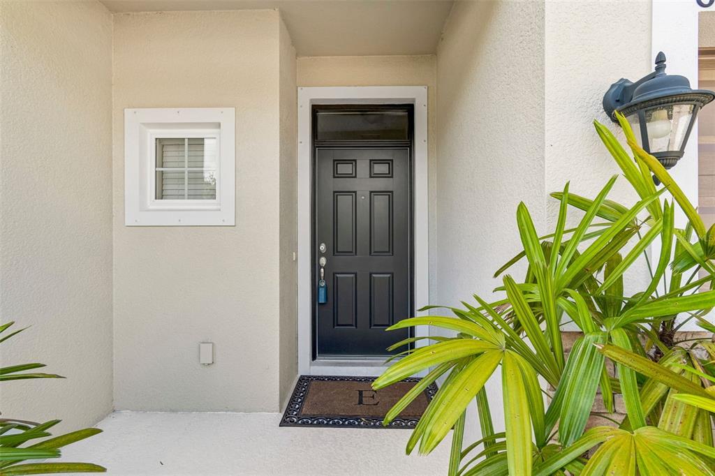 A front entryway features a dark gray door, a small window, and a potted plant — 606 CABERNET WAY, OLDSMAR, FL
