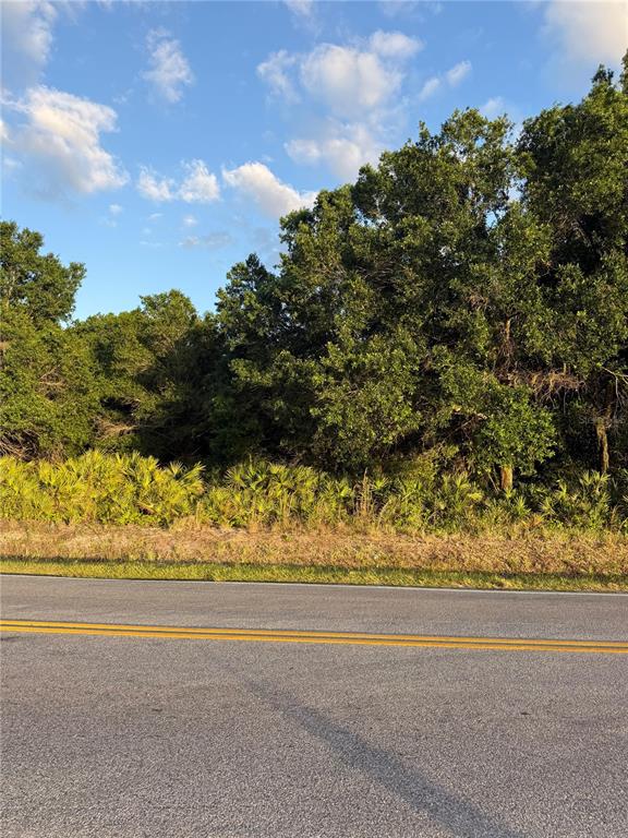A paved road runs in front of a wooded lot with dense trees and palmettos — 0 ALTURAS BABSON PARK CUTOFF ROAD, LAKE WALES, FL