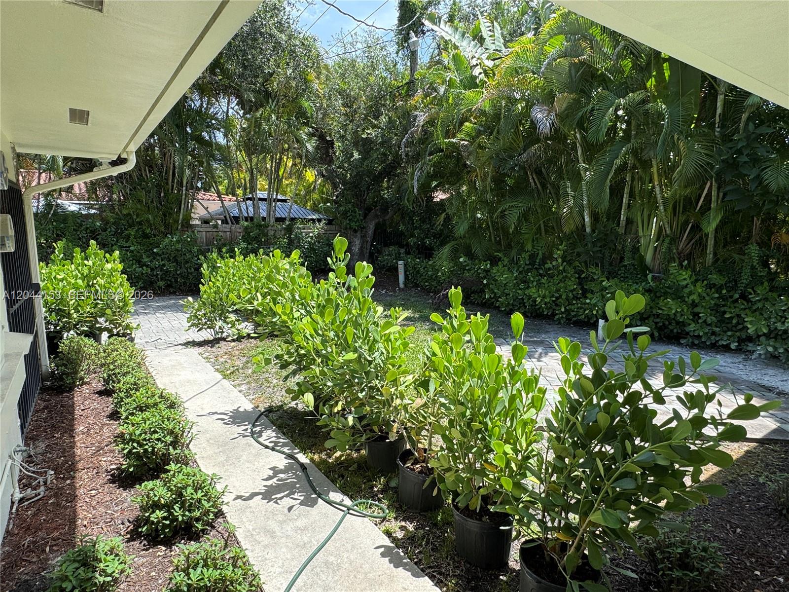 A paved backyard patio features potted shrubs and lush tropical landscaping under a roof overhang — 5907 Turin St # 5909, Coral Gables FL 33146, CORAL GABLES, FL