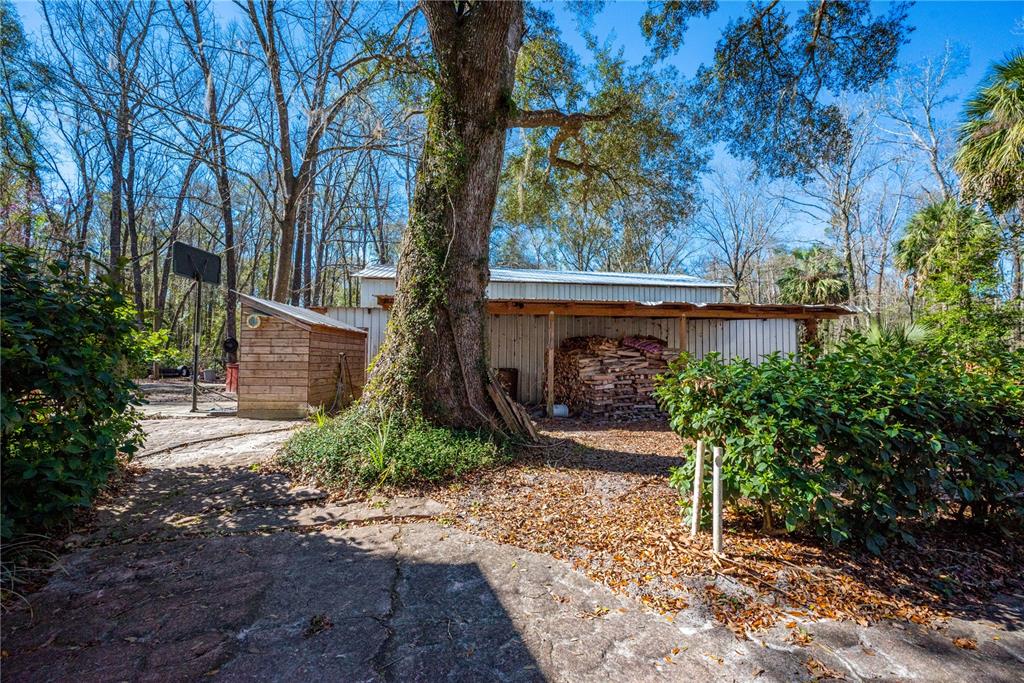 A large tree stands in front of a shed with a wood pile and basketball hoop — 383 NE 355TH AVENUE, OLD TOWN, FL