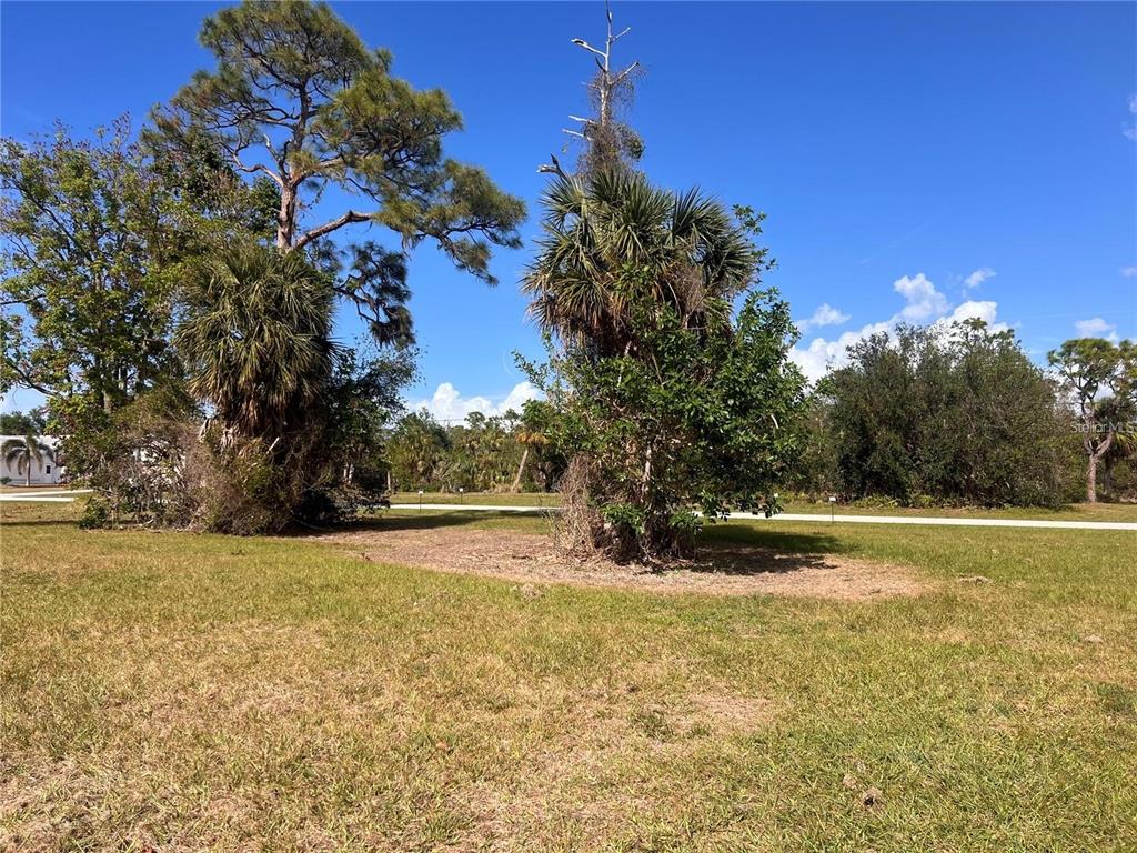 A grassy lot features several large trees and a paved path under a blue sky — 16810 ACAPULCO ROAD, PUNTA GORDA, FL
