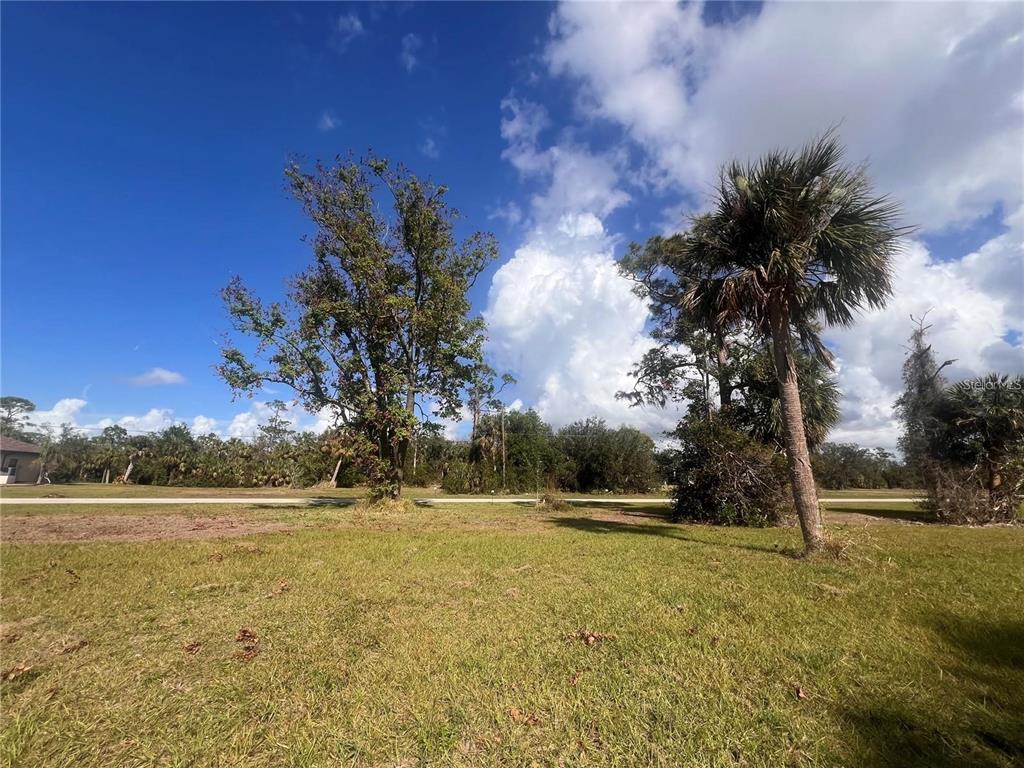 A grassy lot features several large trees under a blue sky with white clouds — 16810 ACAPULCO ROAD, PUNTA GORDA, FL