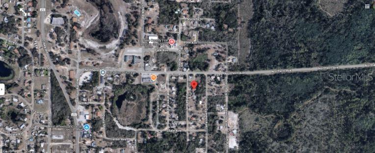 This is an aerial map view showing a residential property location in a wooded area — 33702 VERDA AVENUE, LEESBURG, FL