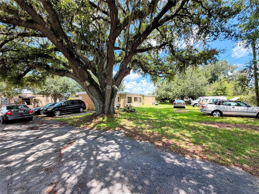 A large oak tree shades a grassy yard with several parked cars and a building — 2290 E 92 HIGHWAY, PLANT CITY, FL
